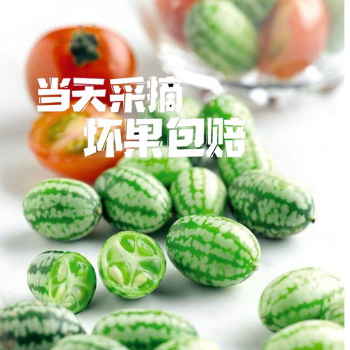  送沙拉酱现摘新鲜拇指西瓜佩普基诺迷你小西瓜低糖水果124盒