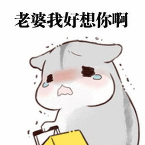  我是一个不太会说话的男生,女朋友生气的时候怎么哄才合适呢