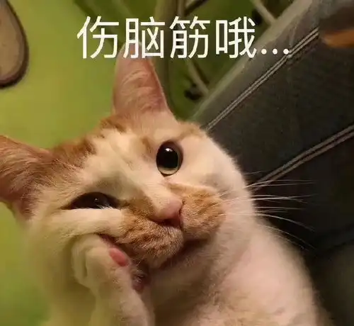 打滚表情包猫猫长安cs55