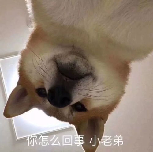  情头我有多幸运,遇见的是你