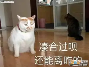盗我图表情包坏坏