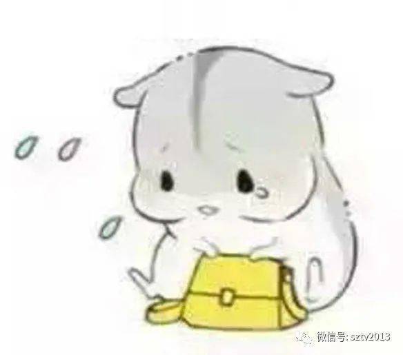 冰天百花葬表情包仓鼠