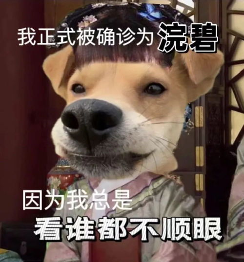  确诊式文学诊断之后,良方何觅