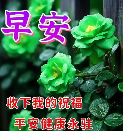  2024年5月13日今日最新早安祝福图片,早上好关心朋友的问候语