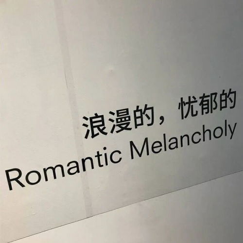  背景图冬天的日光温柔的照入脸庞