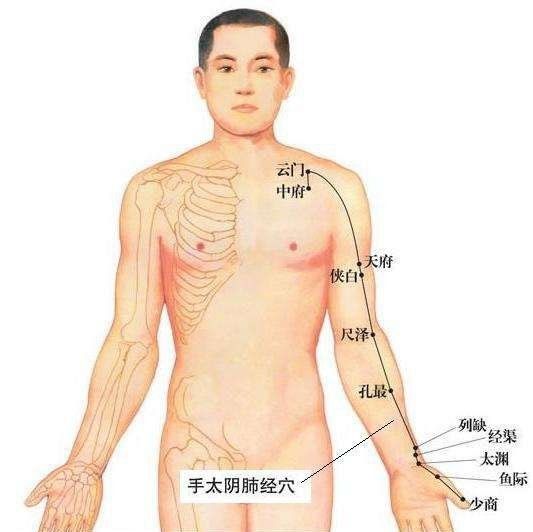  灸透你的肺经,整个秋天无疾
