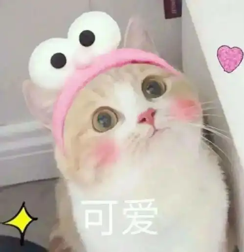  叮咚你收到了一份学生会的邀请函