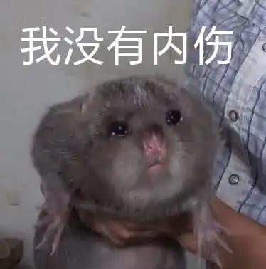  竹鼠表情包我没有中暑,我是竹鼠