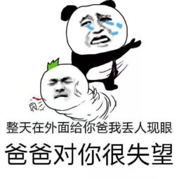  高云翔吃官司,董璇转移财产,两人早已云离婚