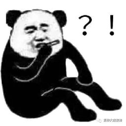  起名是个技术活,哈哈哈哈哈哈哈哈哈