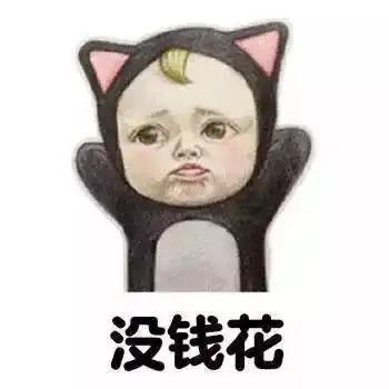  哭了带娃回家过年,竟然要花这么多钱