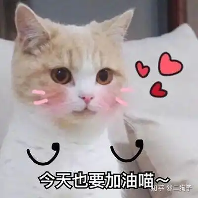  有没有哪些适合当头像的表情包