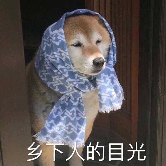  语文可以乱写,历史可以乱编,英语可以乱凑,数学不会,你真的只能