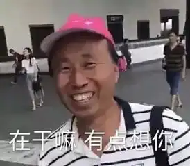  最近很多人用的高飞表情包