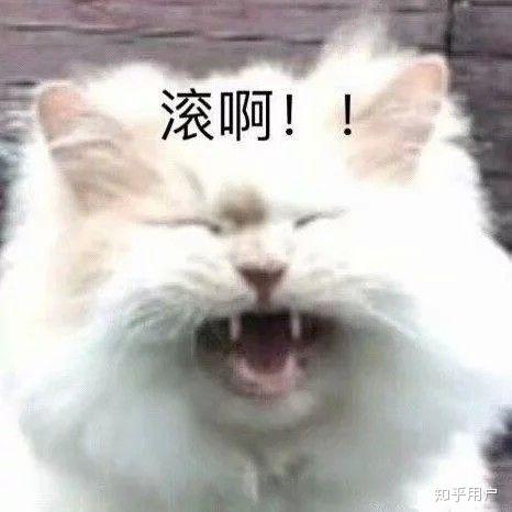 委屈猫表情包大全再见