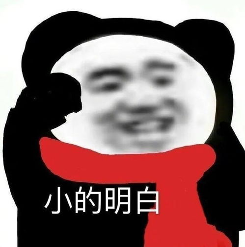  搞笑表情包我的家庭条件你也知道