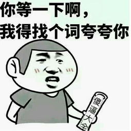 我tm直接系列表情包文案