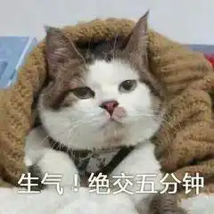  女友生气撒娇猫咪表情包不要你管,我生气了,绝交5分钟