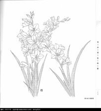  花卉速写画图片花卉速写画设计素材红动网