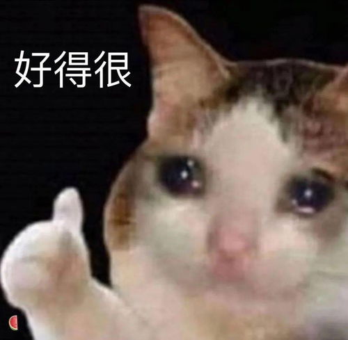  喵星人表情包
