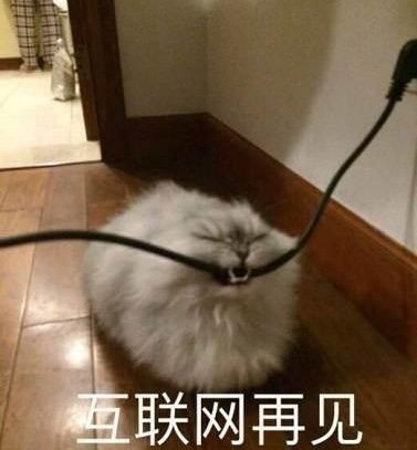  幽默段子一直以来有一个疑问,为什么每次我家狗一见到我妈就跑