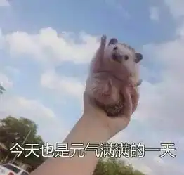  学霸告诉你,养成这8个好习惯,就能称霸学习的武林