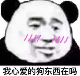  我心爱的狗东西在吗