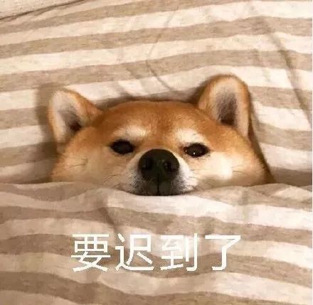  设计师的赖床大法