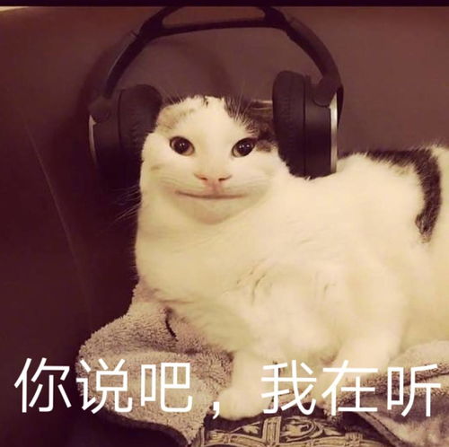 睡不着的图片表情包游戏