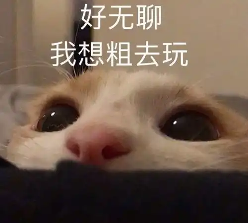  表情包丨向恶势力卖萌