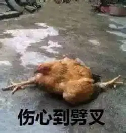  斗图丨双倍弱智附资源