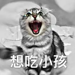  萌宠猫咪搞笑表情包被子有用的话,要空调干啥腾讯网qq.com