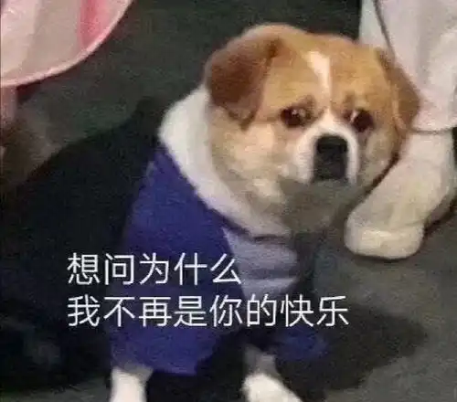  有了这些表情包,你还担心把天聊死吗