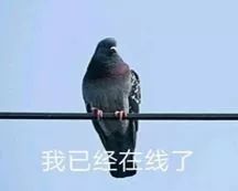  太平洋上四旋共舞,还有大水货台风要来厦门会凉凉吗真相是...