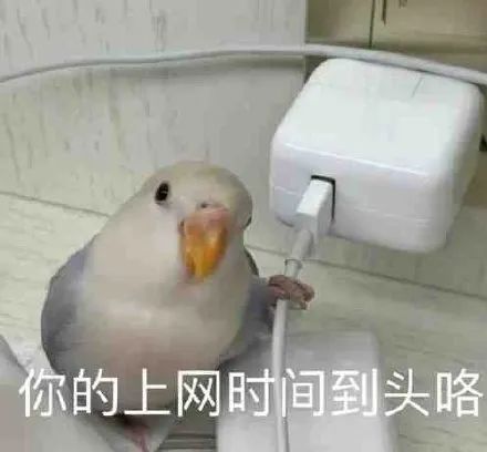  游戏成瘾的背后