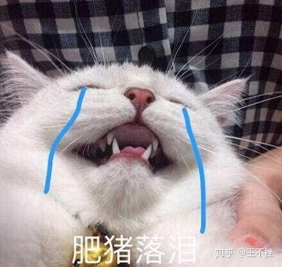  女生胖又难看是种怎样的体验