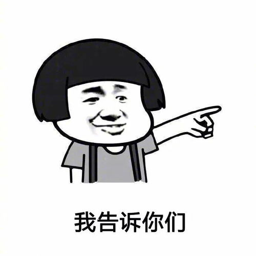  这个年你已不需烦恼你最需要的斗图表情包已经都给你整理好了
