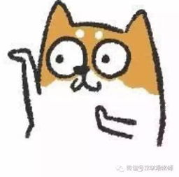 无脸表情包小仙女