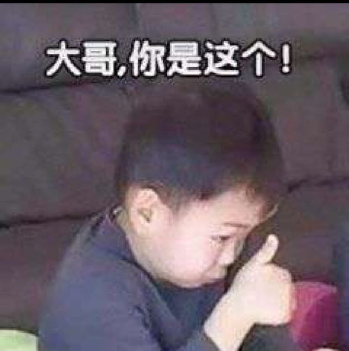  无标题
