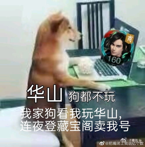  一梦江湖表情包