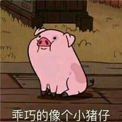 跟猪说话的表情包别说话