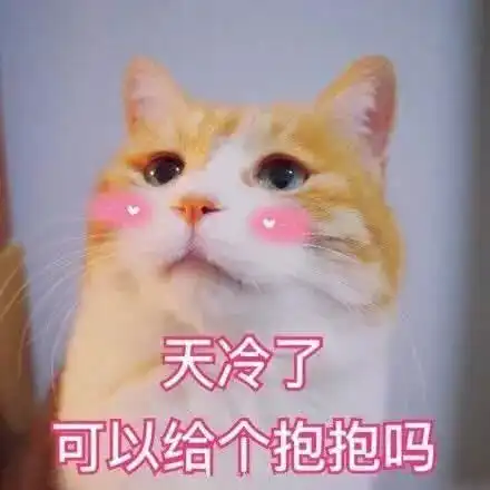抱抱表情包图片 可爱猫