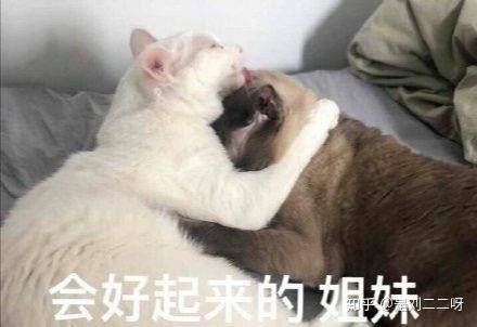  女生153,102算胖吗