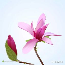  游中学习,游中成长记中澳文化交流活动行前说明会
