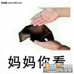  儿子你看我们钱包一样空表情图片爸爸妈妈你们看我的钱包空空的表情包下载乐游网游戏下载