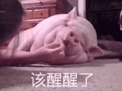  抖音最火表情包老公不听话怎么办