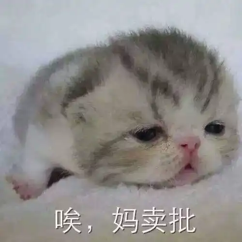  1收藏夹