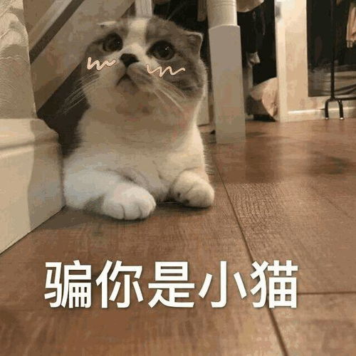  8句古人留下的养生至理名言,读完受益终身