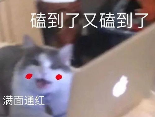  陪女友上下班还贴心准备冷饮,这部小甜剧每集都让人想恰柠檬