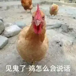  最近超级火的海绵宝宝借钱表情包